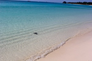 Blue and crystal clear water