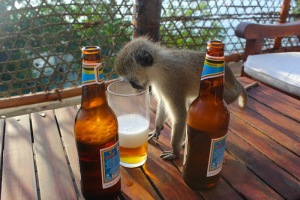 Our little friend wants beer