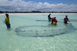 Young kids fishing in the shallow water