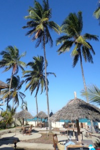 Palms moving in the light breeze.