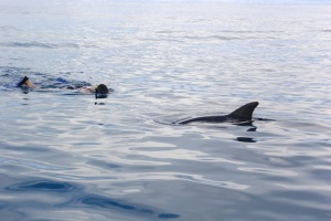 Jurgita about one and a half meter from at bottlenose dolphin.