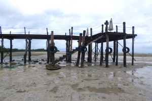 No jumping from the pier, please!