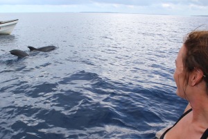 Jurgita spotted to more dolphins.