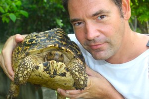 One of the lucky ones at the rescue-center for turtles.