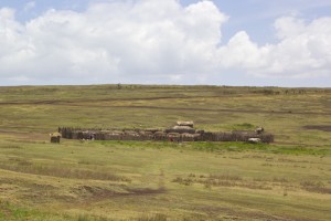 This is how a typical Masai-village looks like. 120 persons live in this village.
