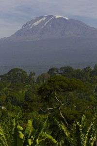 Kilimanjaro, 5895 meters above sea level.