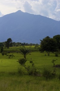 Beautiful scenery in Tanzania.