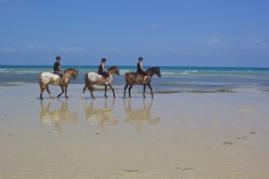 Horse-riding on the beach is something we have wanted to do for a long time.